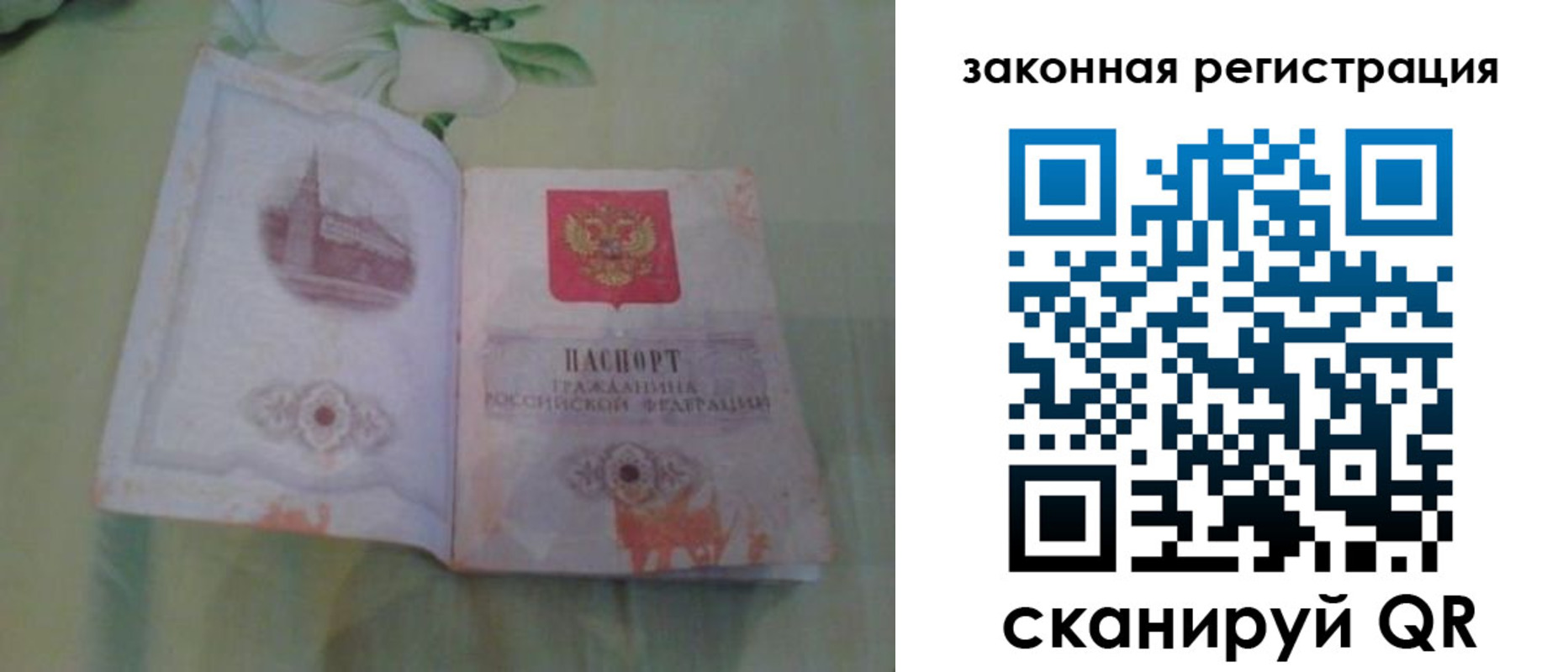 прописка в Волоколамске